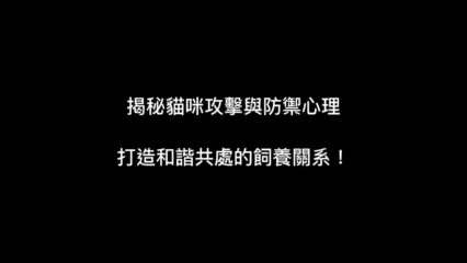 貓咪心理中的攻擊與防禦心理