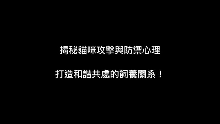 貓咪心理中的攻擊與防禦心理