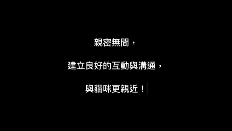 與貓咪建立深厚的情感紐帶