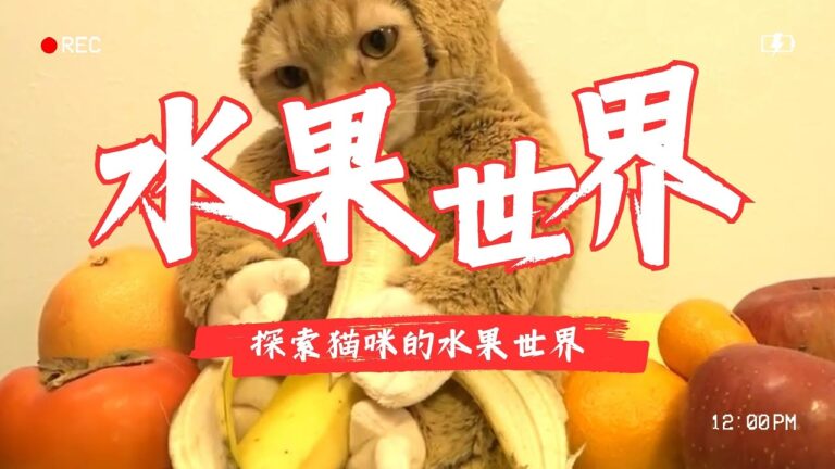 貓咪的水果世界
