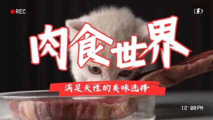 貓咪的肉食世界
