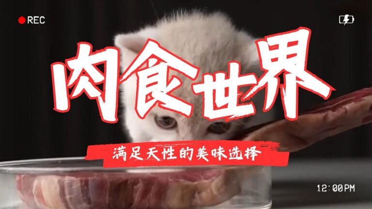 貓咪的肉食世界