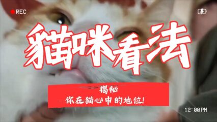 貓咪心中地位