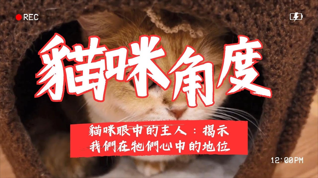 【寵物解答】貓咪眼中的主人