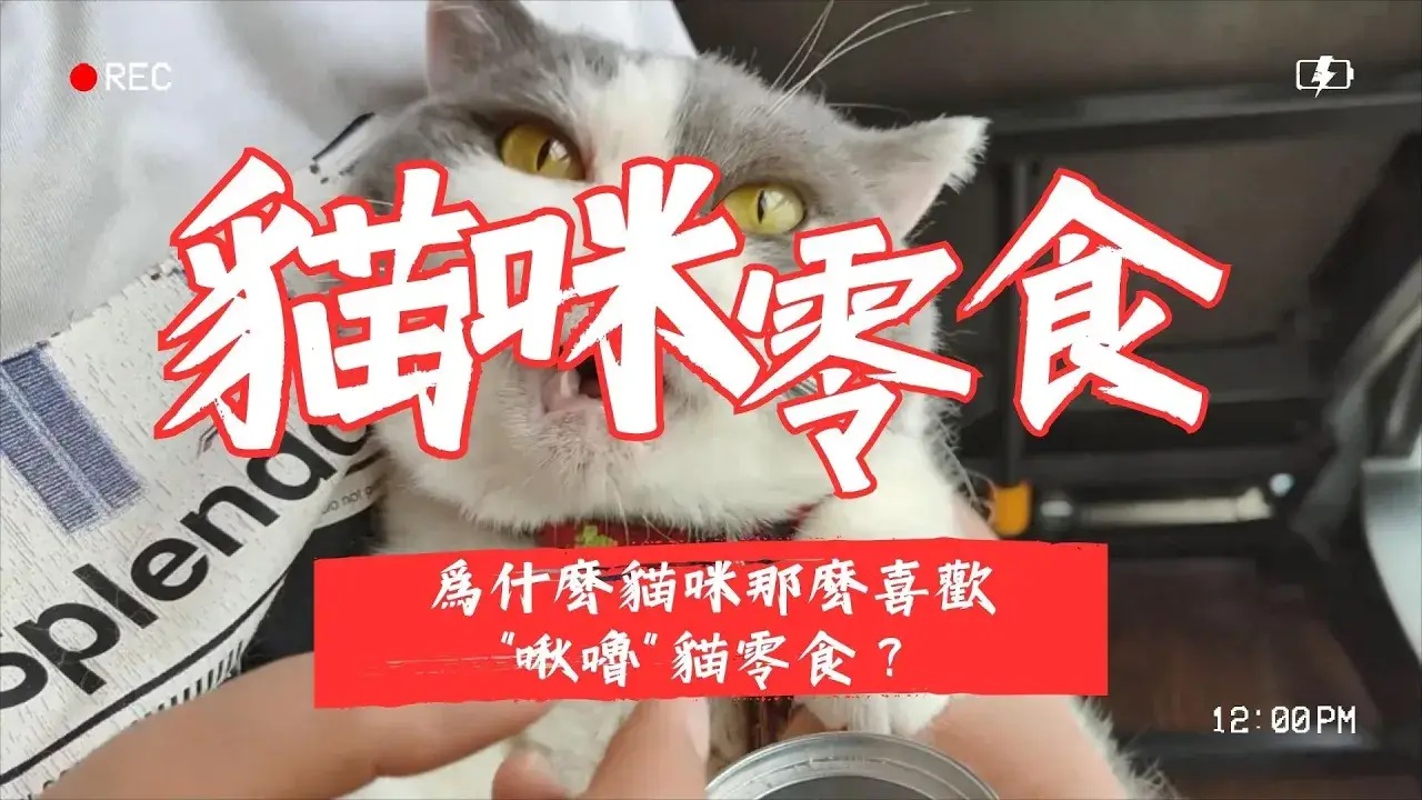 【新手養貓】為什麽貓咪那麽喜歡“啾嚕”貓零食？