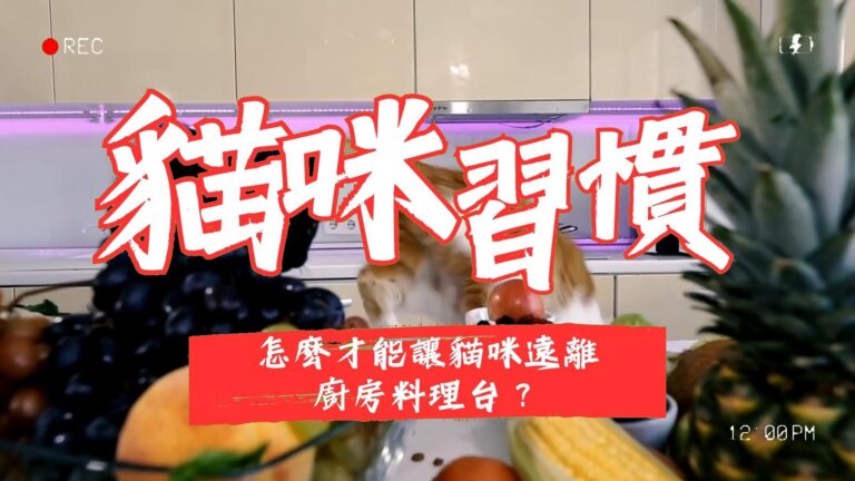 怎麽才能讓貓咪遠離廚房料理台?