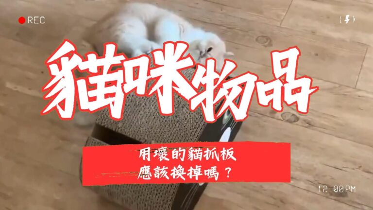 用壞的貓抓板應該換掉嗎?