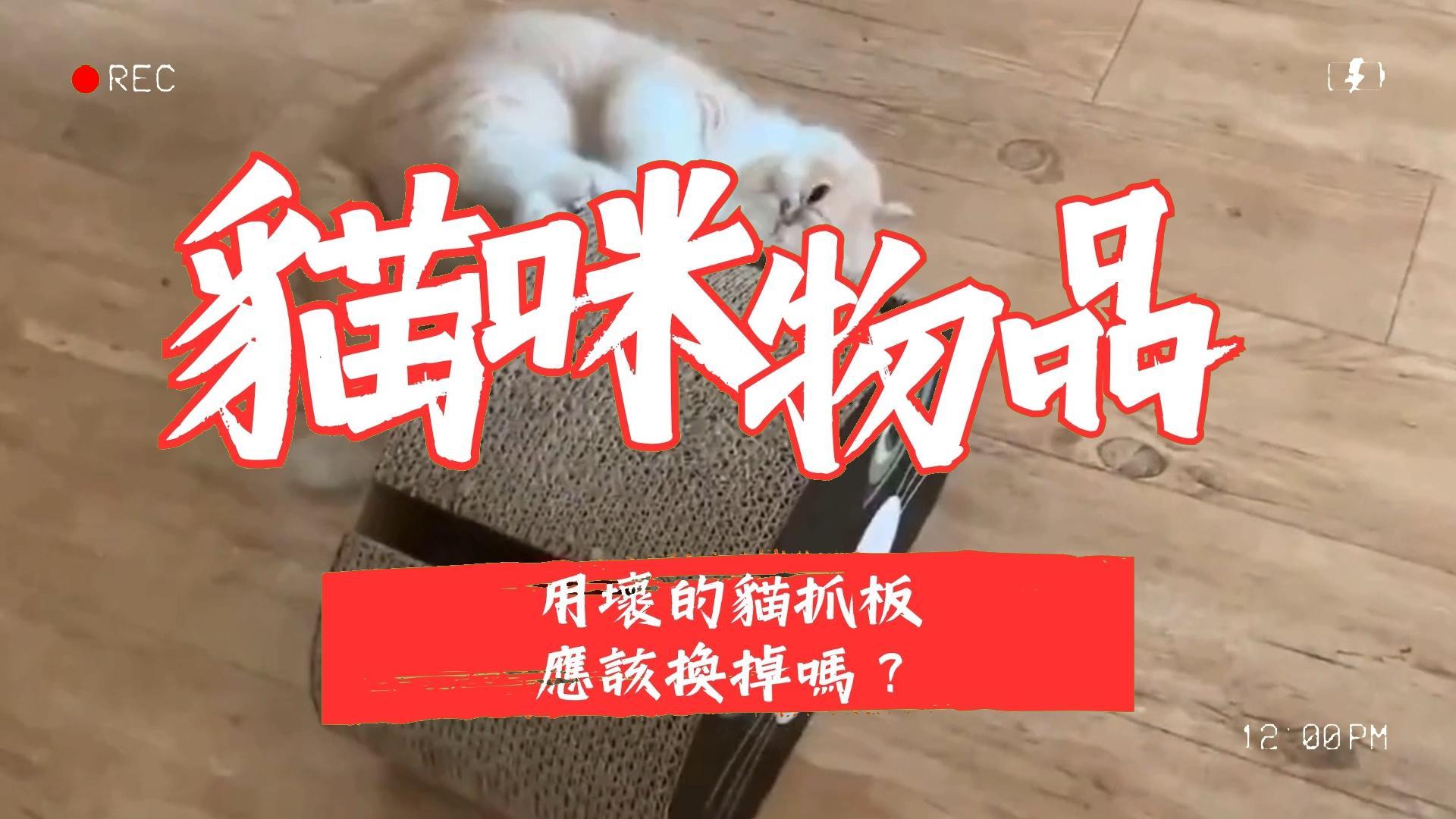【新手養貓】用壞的貓抓板應該換掉嗎？