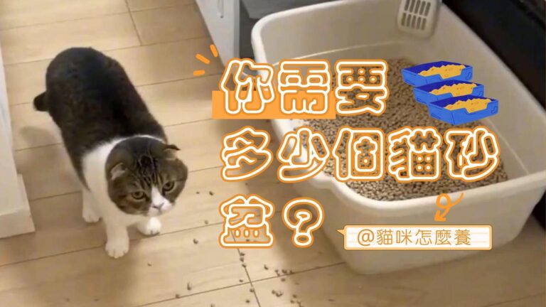 你需要多少個貓砂盆