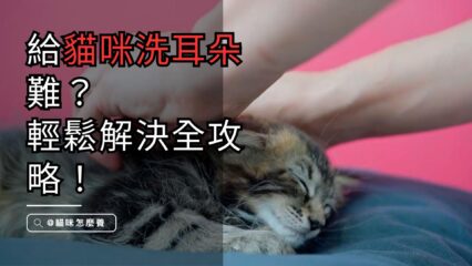 輕鬆解決貓咪耳朵煩惱