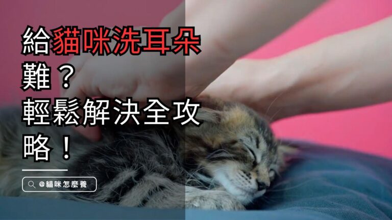 輕鬆解決貓咪耳朵煩惱