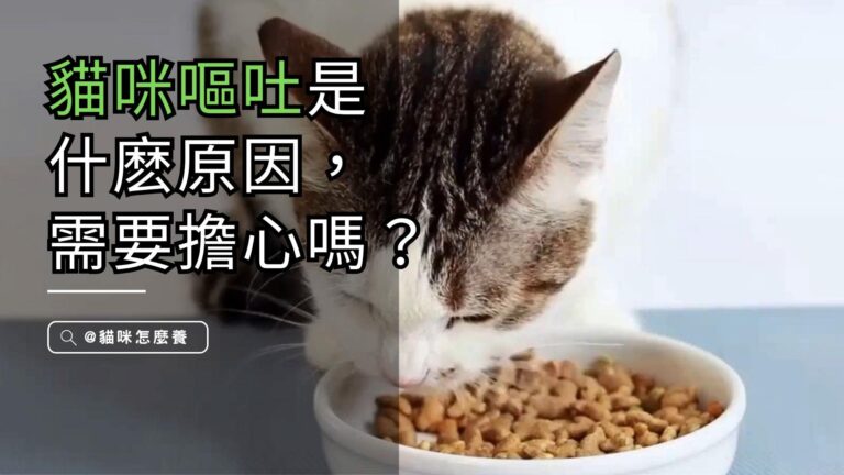 貓咪嘔吐現象的生理科學