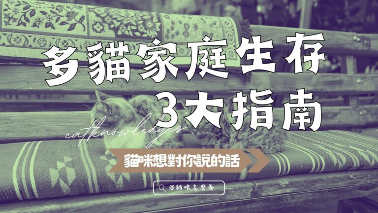 多貓家庭生存3大指南