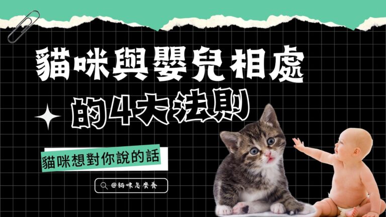 你的貓咪愛你嗎?