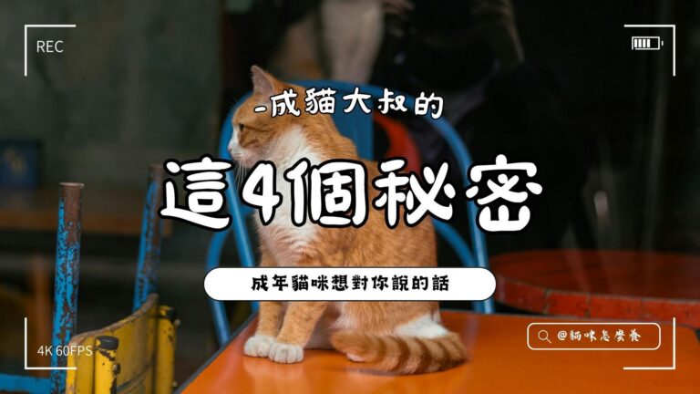 成貓大叔的這4個秘密