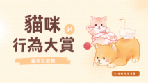 貓咪行為大賞