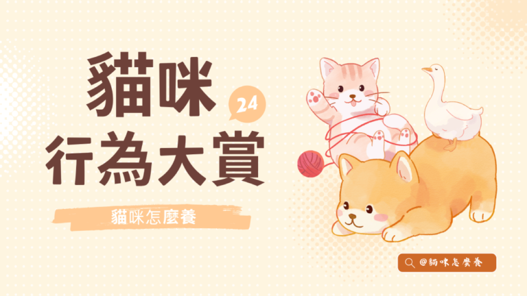 貓咪行為大賞