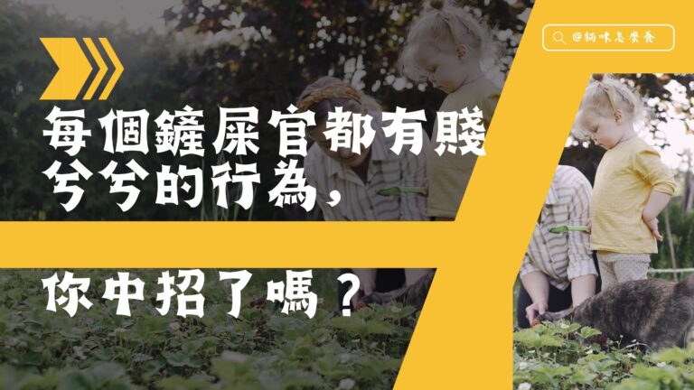 每個鏟屎官都有賤兮兮的行為