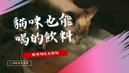 貓咪也能喝的飲料