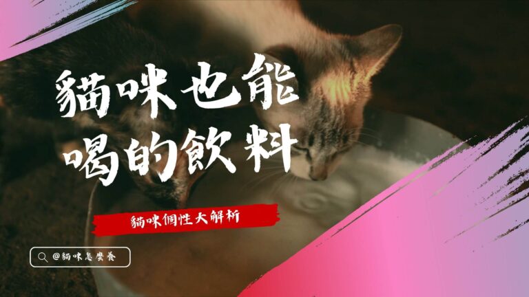 貓咪也能喝的飲料