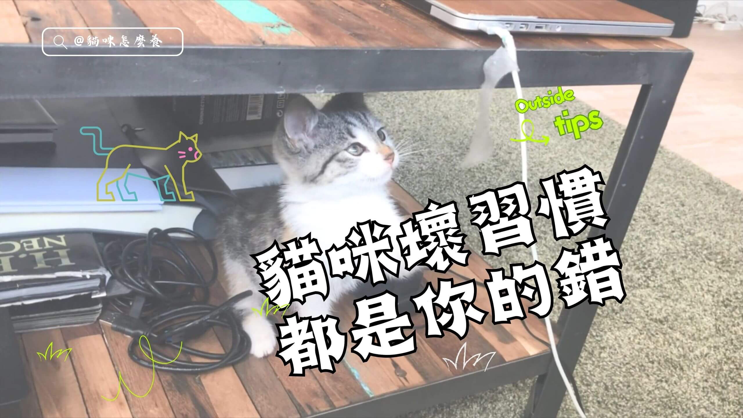 貓咪壞習慣都是你的錯