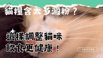 貓糧含太多澱粉？