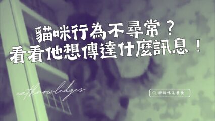 貓咪行為不尋常
