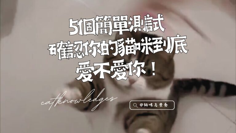 確認你的貓咪到底愛不愛你