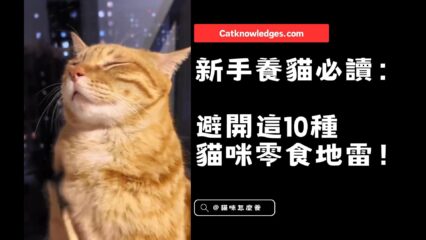 新手養貓必讀：避開這10種貓咪零食地雷！