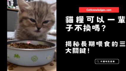 貓糧可以一輩子不換嗎？