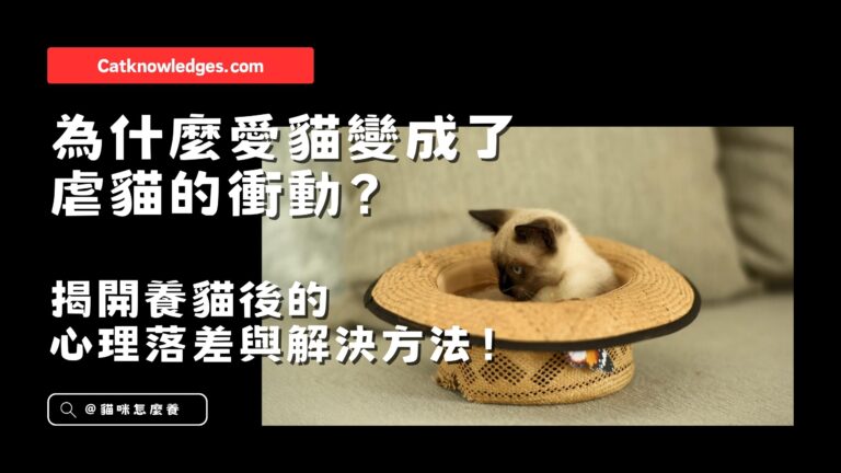 為什麼愛貓變成了虐貓的衝動