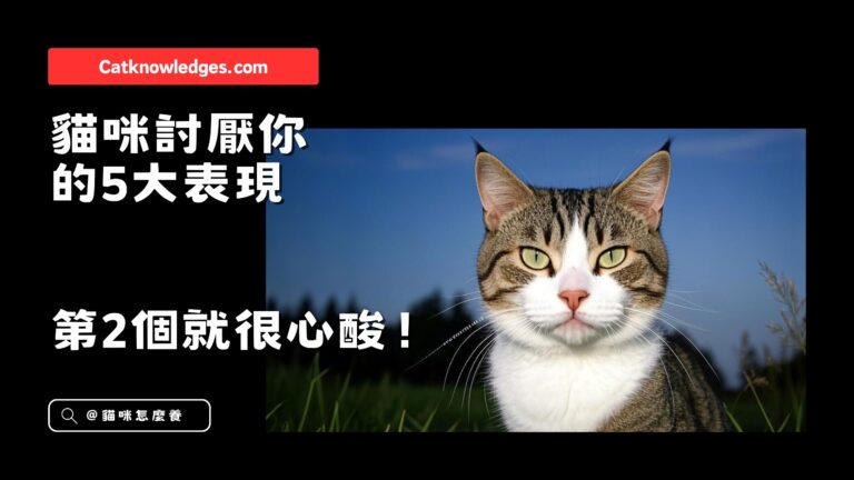 貓咪討厭你的5大表現,第2個就很心酸!