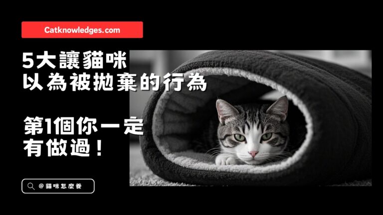 5大讓貓咪以為被拋棄的行為,第1個你一定有做過!