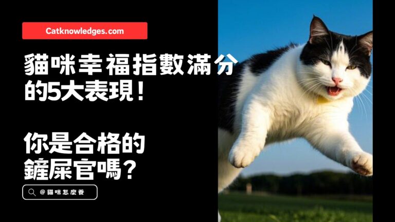 貓咪幸福指數滿分的5大表現!