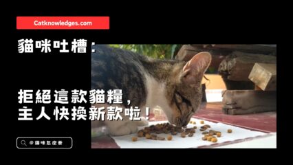 貓咪吐槽：拒絕這款貓糧，主人快換新款啦！
