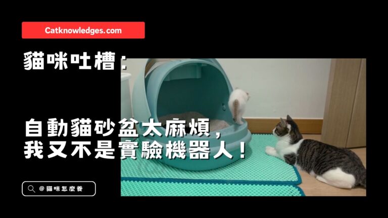 貓咪吐槽:自動貓砂盆太麻煩,我又不是實驗機器人