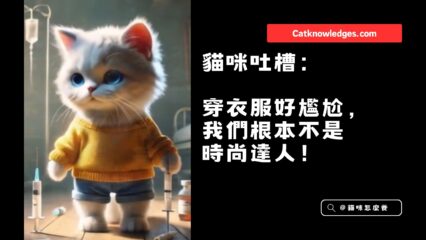 貓咪吐槽：穿衣服好尷尬，我們根本不是時尚達人！
