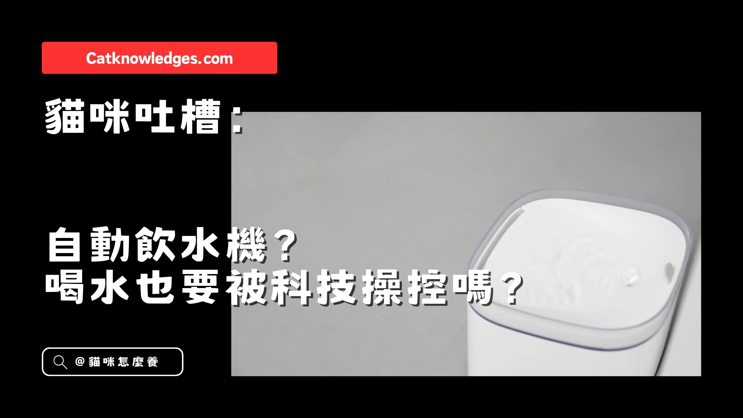 【貓咪吐槽】自動飲水機?喝水也要被科技操控嗎?