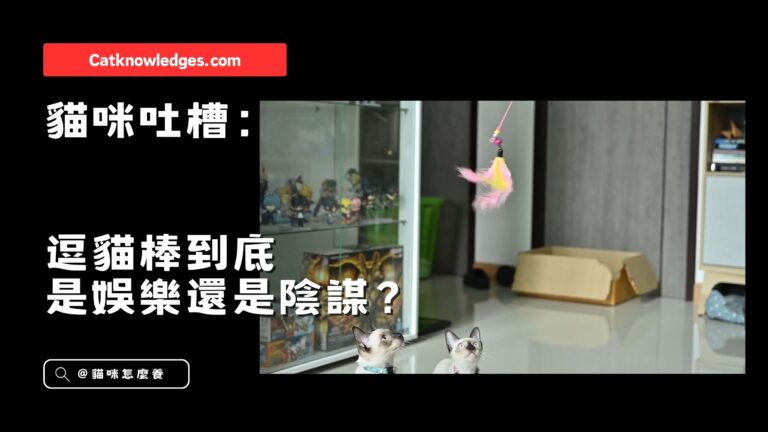 貓咪吐槽:逗貓棒到底是娛樂還是陰謀?