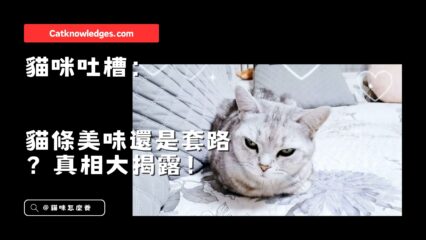 貓咪吐槽：貓條美味還是套路？真相大揭露！