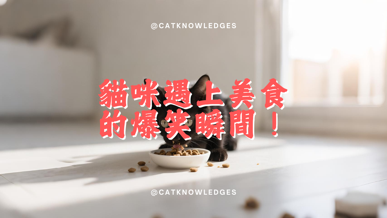 【養貓知識】貓咪遇上美食的爆笑瞬間!這吃相讓主人不敢直視