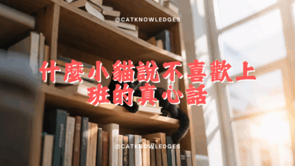 喵星人罷工日記