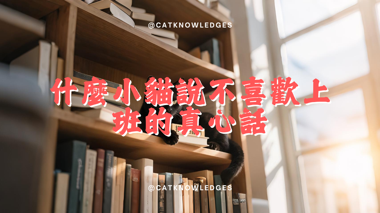 【養貓知識】為什麼小貓說他也不喜歡上班