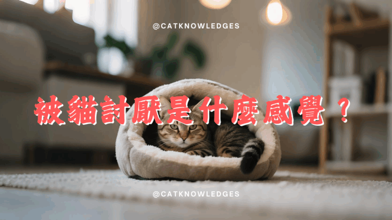 被貓討厭是什麼感覺