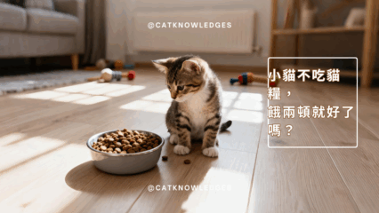 小貓不吃貓糧，餓兩頓就好了嗎？