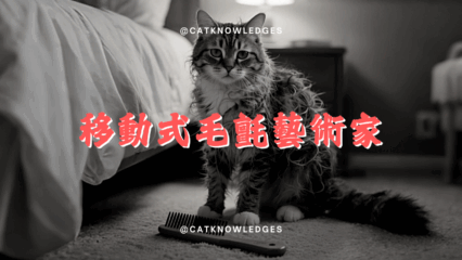 移動式毛氈藝術家