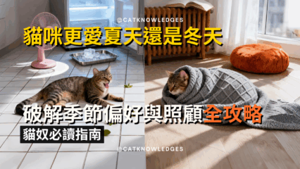 cat-summer-vs-winter