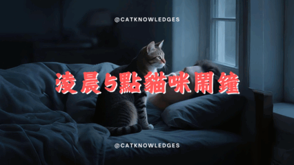 淩晨5點喵嗚鬧鐘