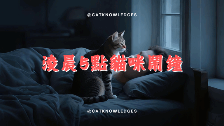 淩晨5點喵嗚鬧鐘