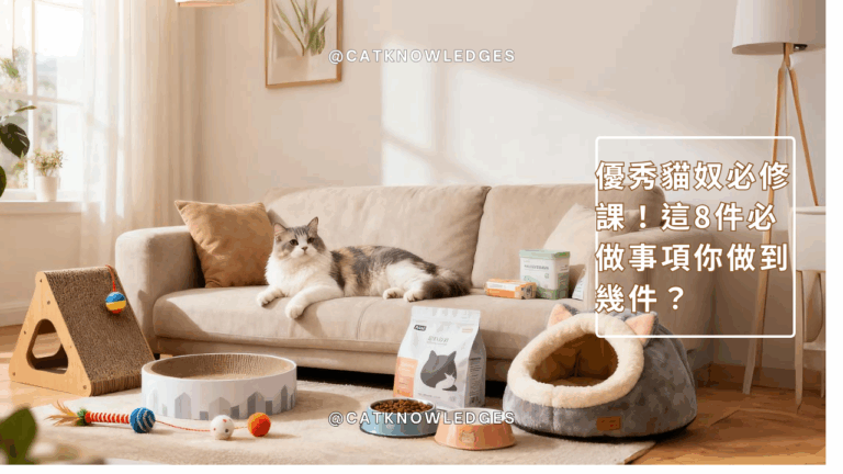 優秀貓奴必修課